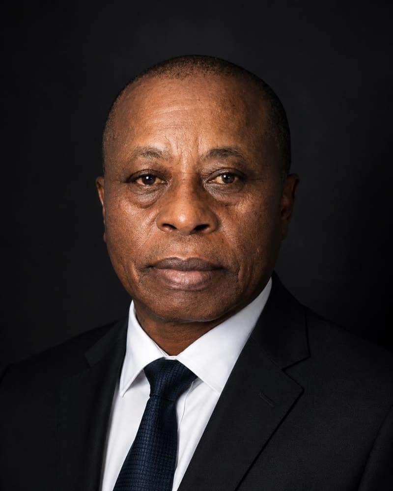 Peter Christopher Hermas, Shareholder at Kikwata Investment Limited